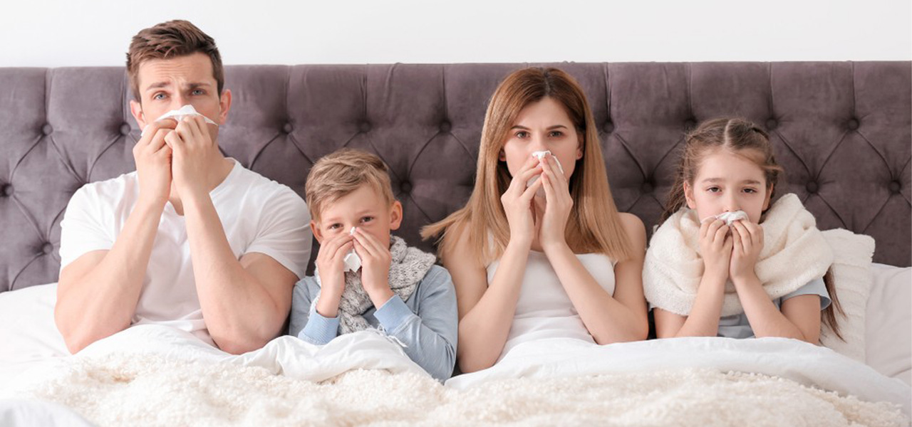 flu season 2024