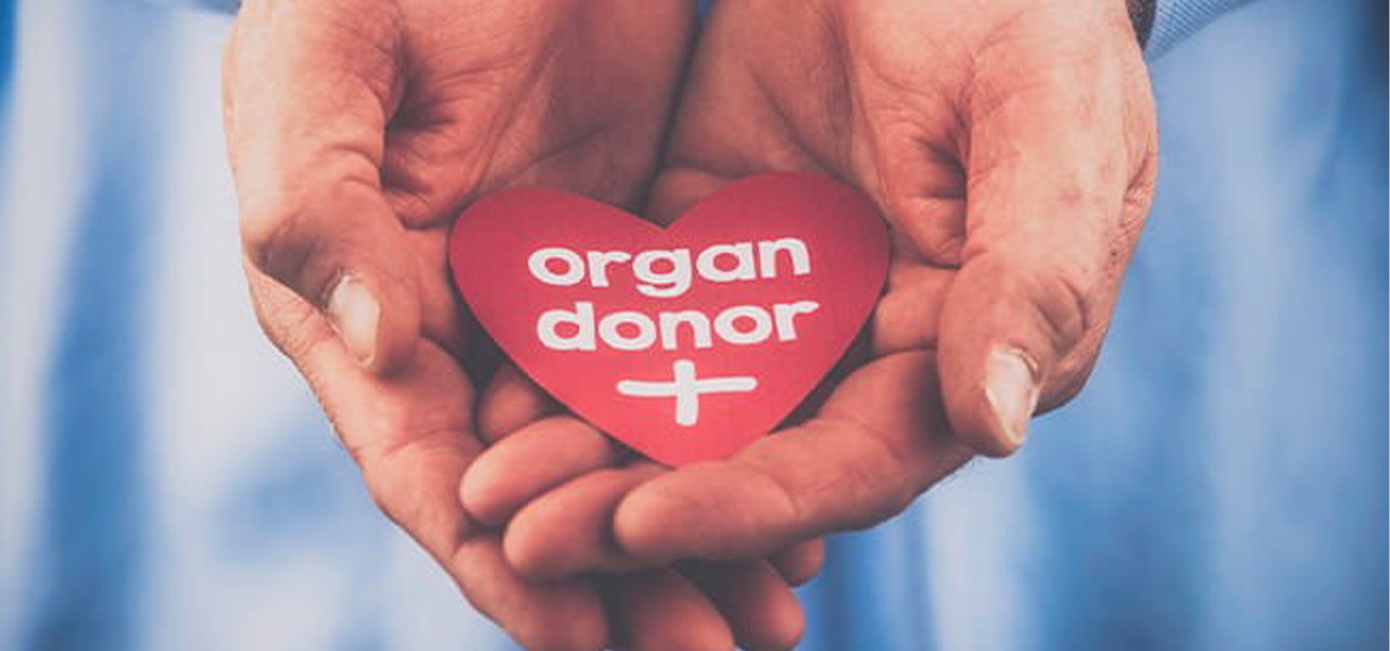 organ donor 2024